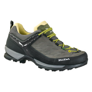 salewa hiking boots